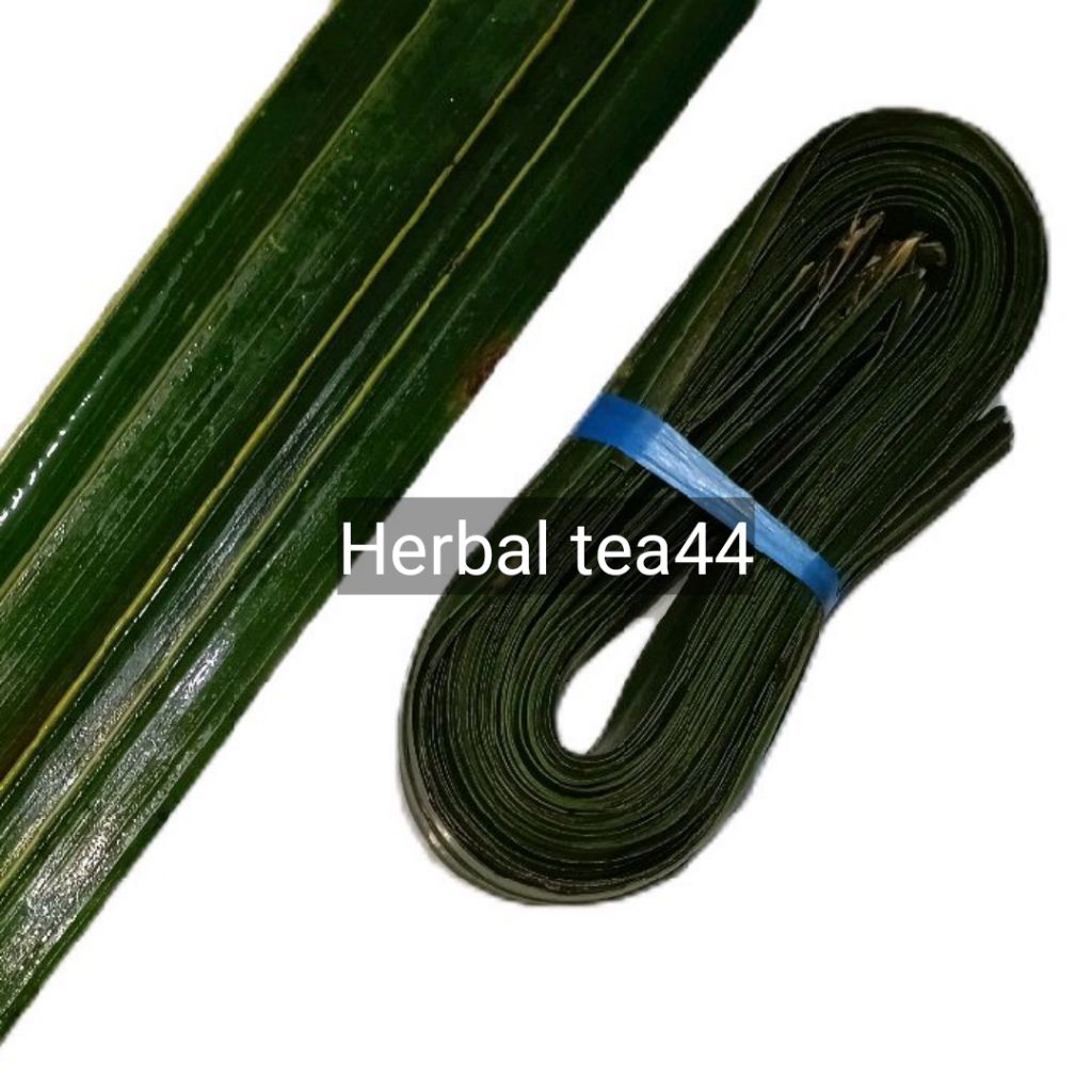 

Daun kelapa hijau tua segar tanpa lidi paket 100 lembar