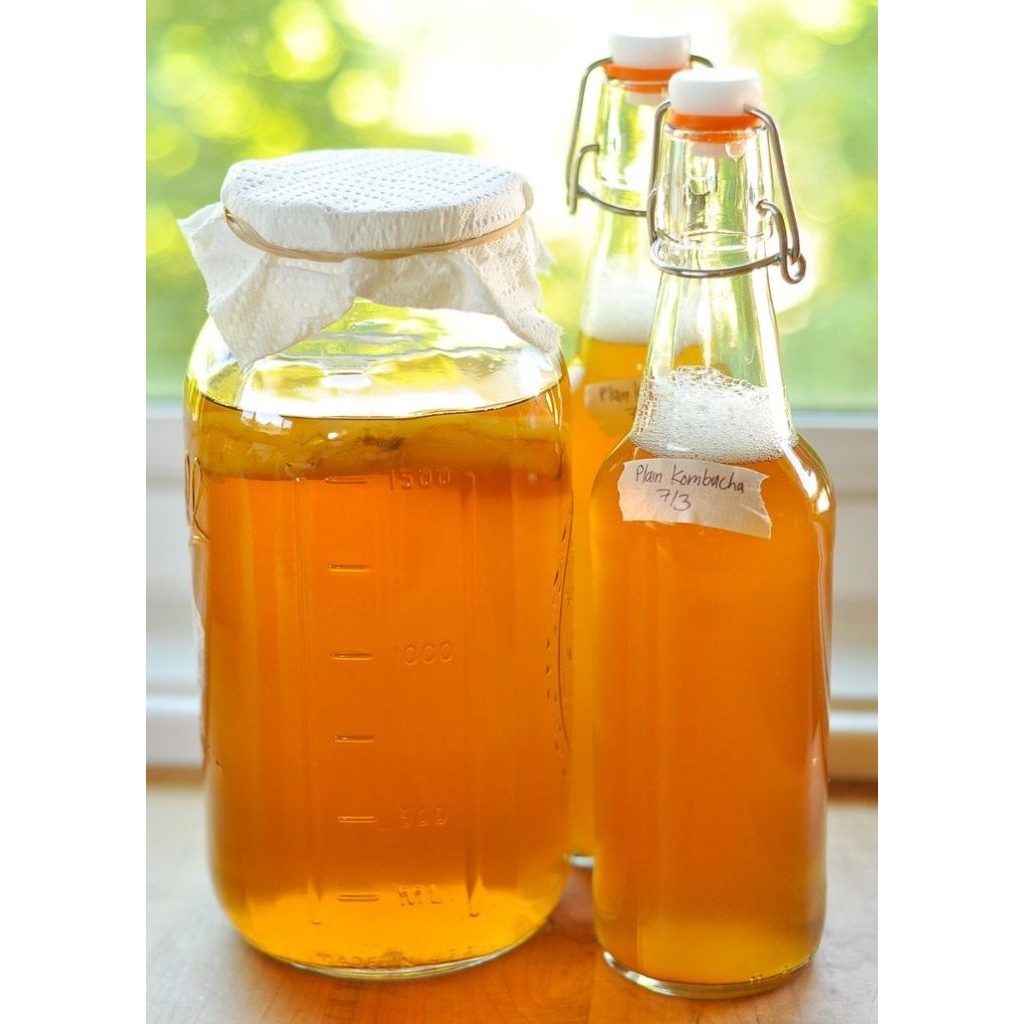 

Kombucha Minuman Probiotik 500ml