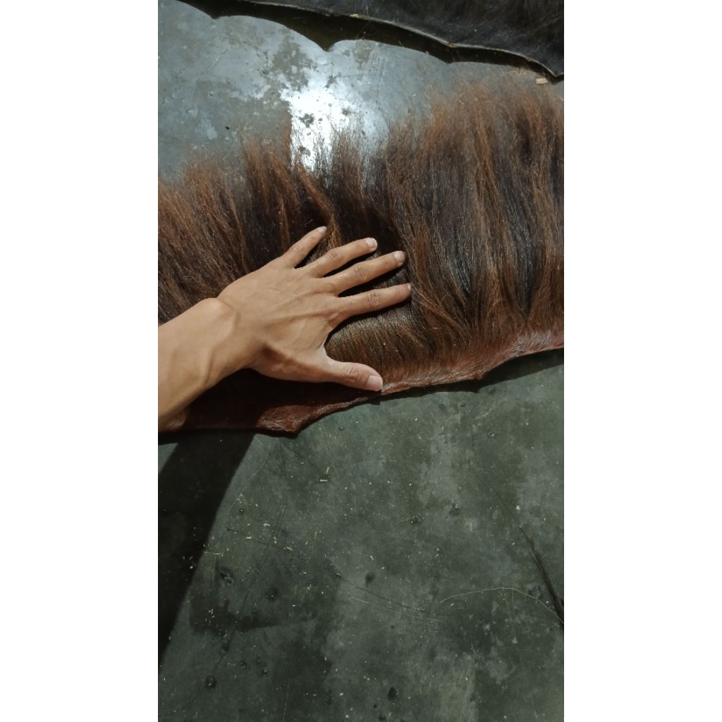 SURI/RAMBUT KUDA ASLI PAJANG 30 CM X 80 CM HARGA MURAH