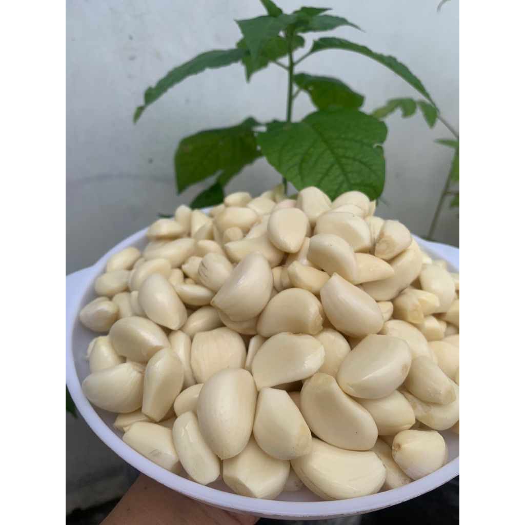 

Bawang Putih Kupas Fresh | Masak Jadi Sat Set