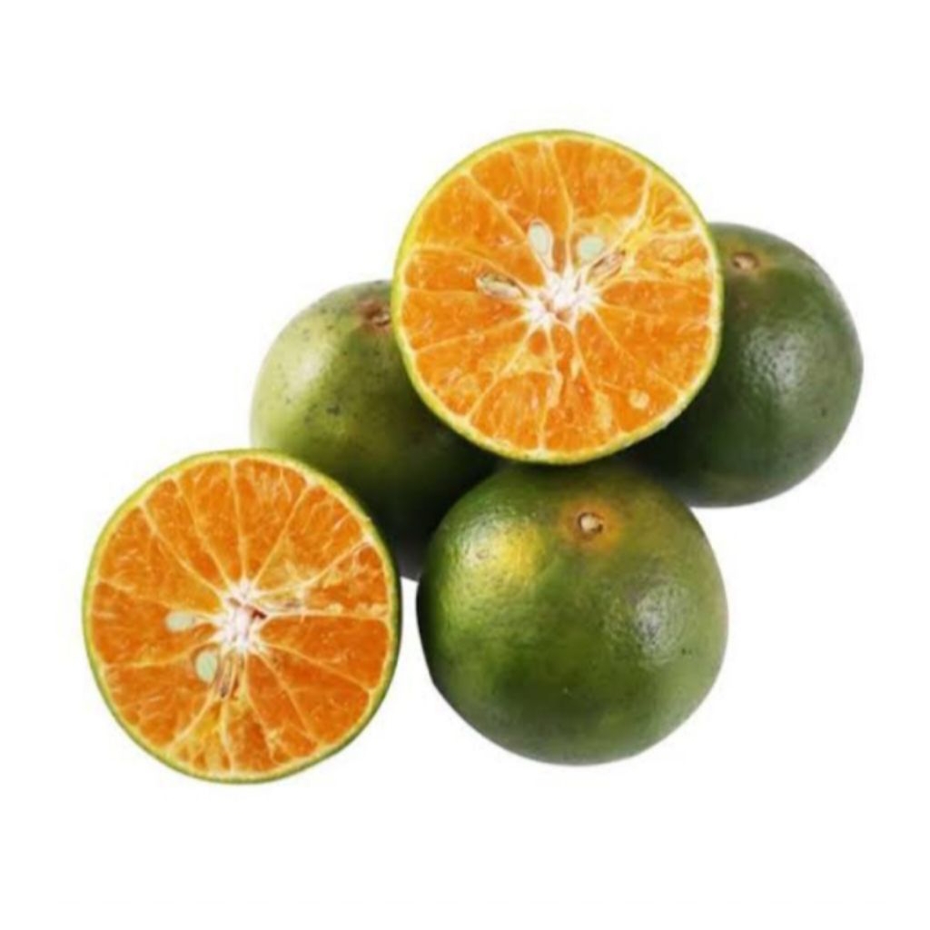 

bibit tanaman buah jeruk pontianak
