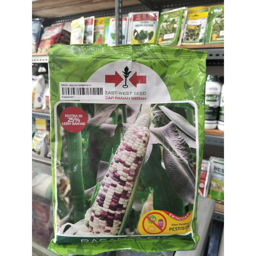 Benih jagung RASANYA F1 1800 butir jagung putih merah pulut manis dari panah merah