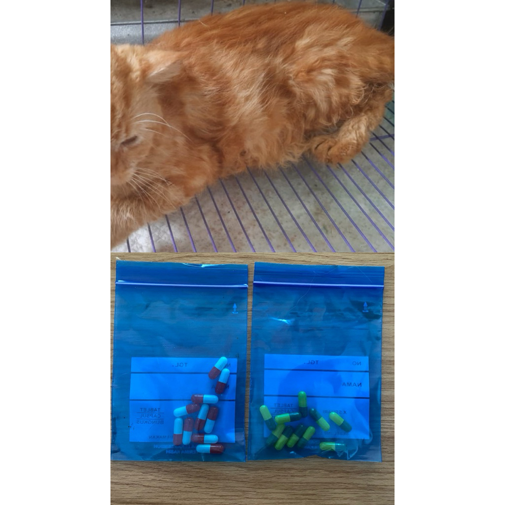 Obat racikan susah pipis, kencing berdarah kucing dan anjing