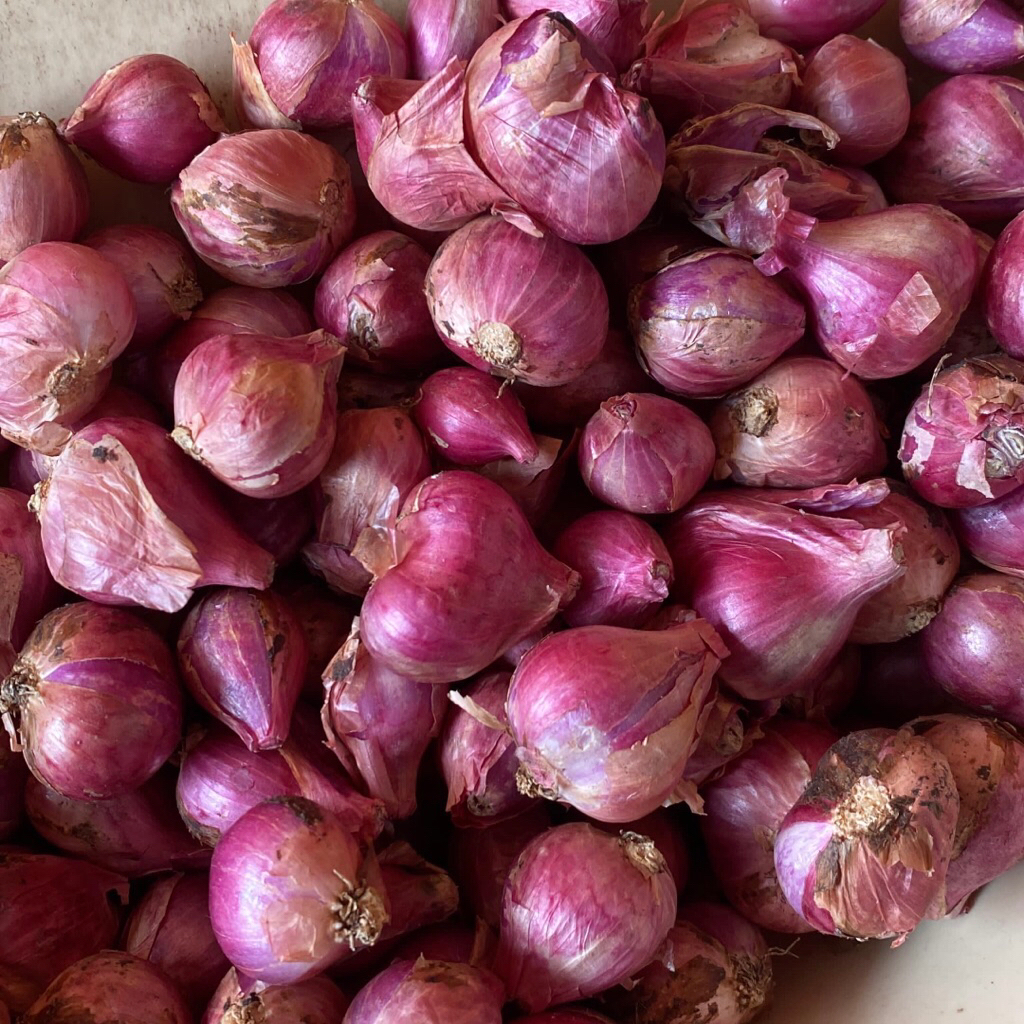 

Terbaik Bawang Merah Super 500gr