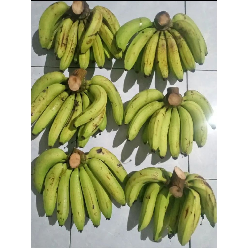

Pisang Ambon kuning mentah pull tua berat bersih 1kg
