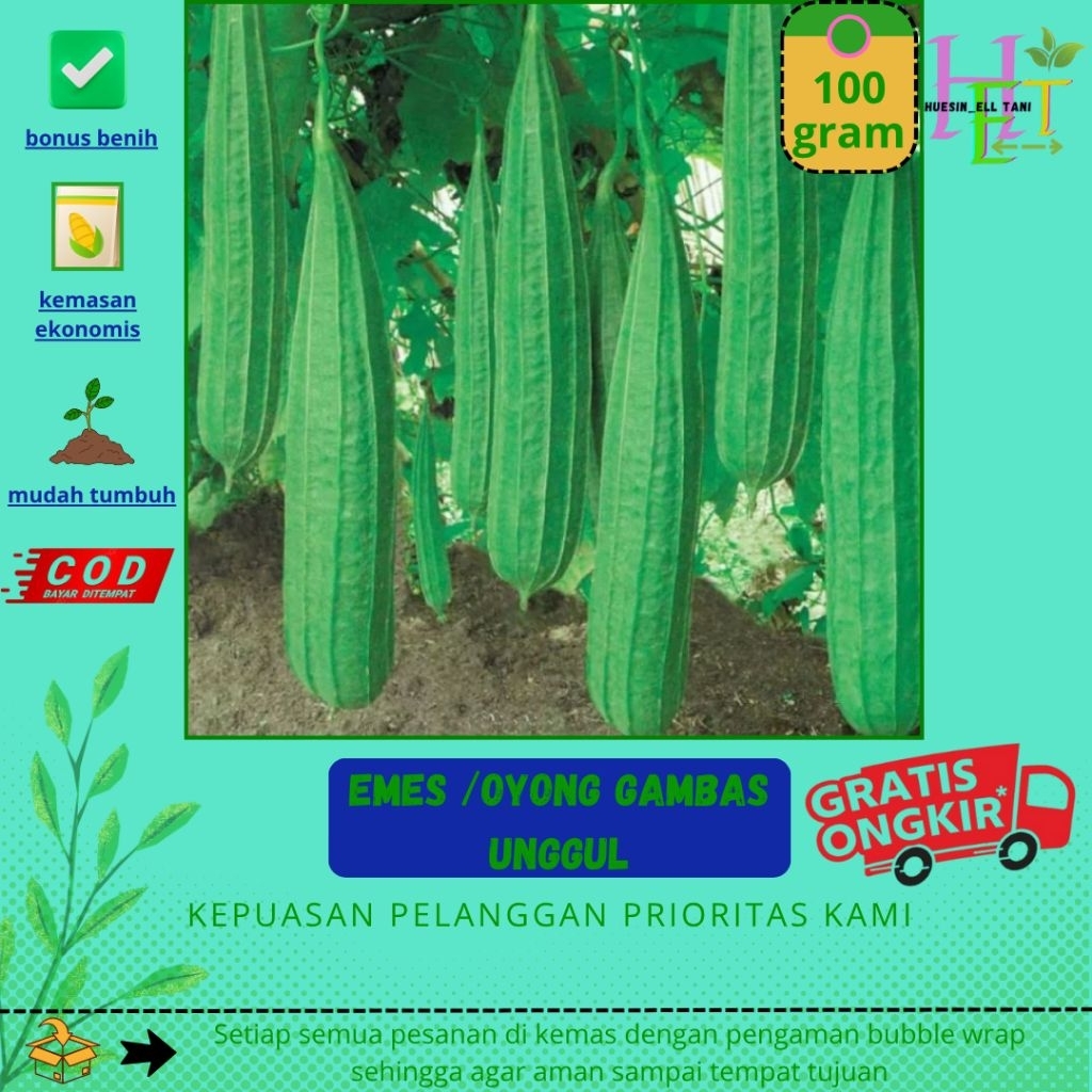 100 gram biji benih oyong gambas/pare unggul