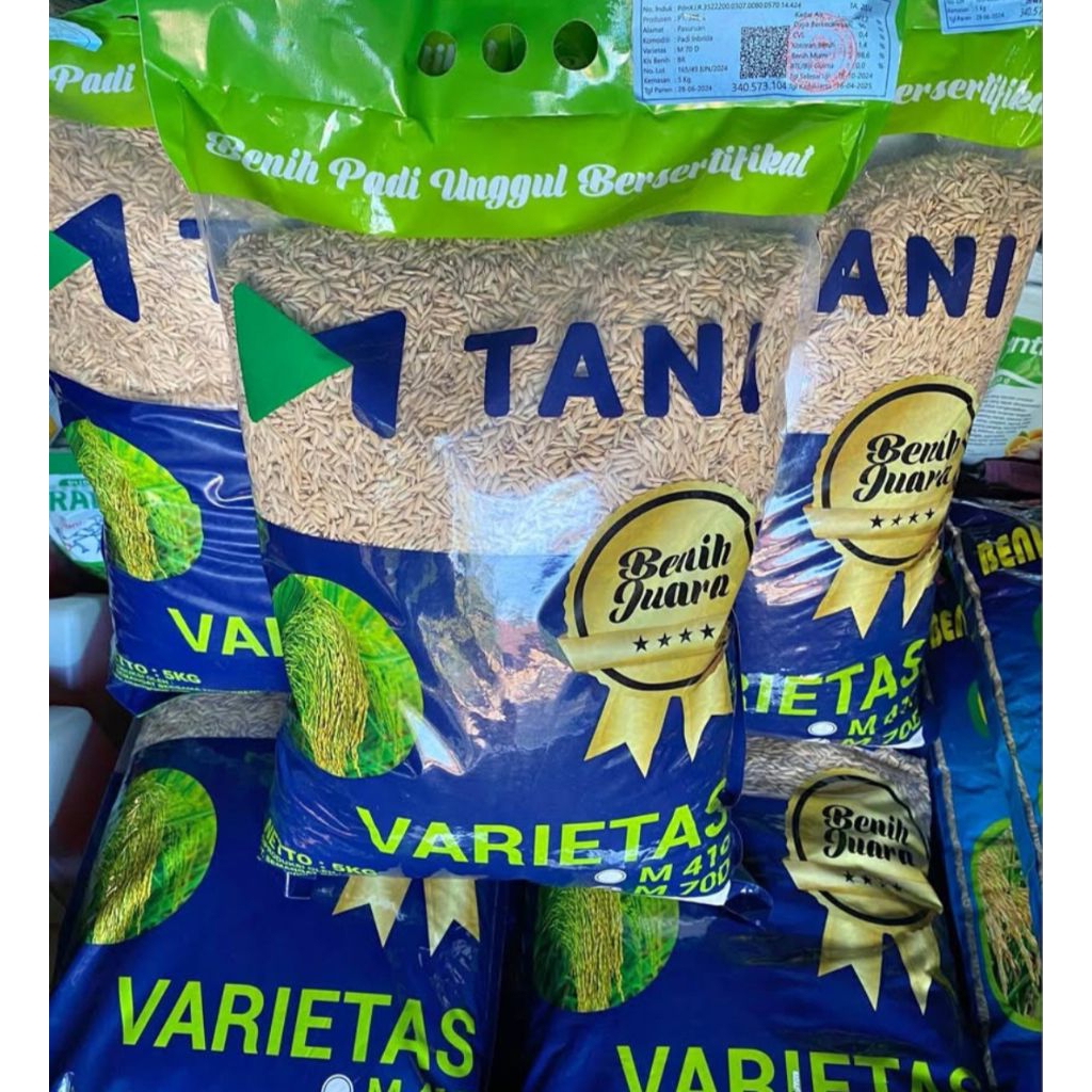 Bibit padi M70 padi genjah kemasan 5kg