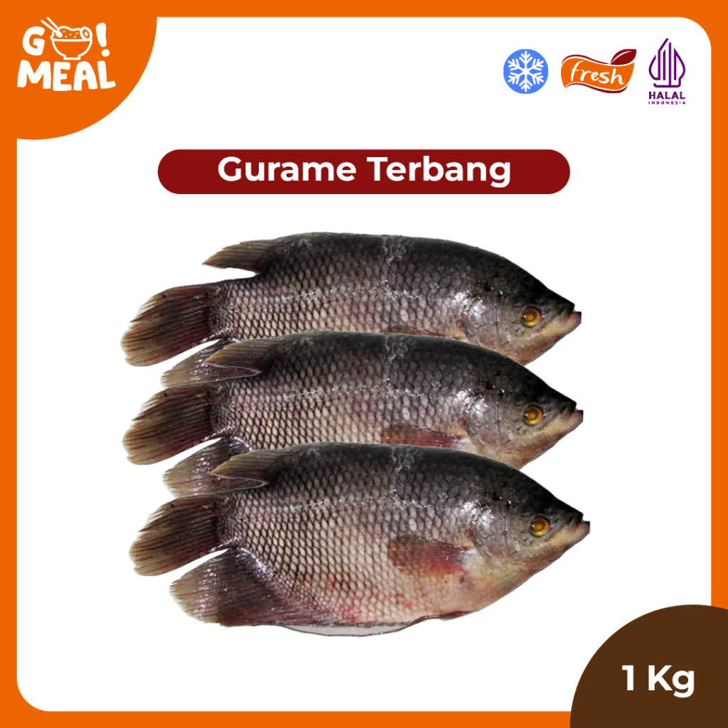 

Gurame Terbang / Ikan Gurame Bersih / Gurame 1kg