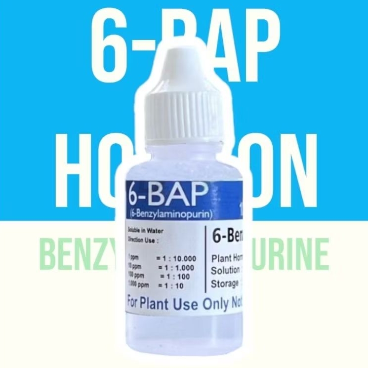 HORMON BAP BIRU 6-BAP BENZYLAMINOPURINE 30ml PENUMBUH TUNAS ANGGREK//PERANGSANG BUNGA
