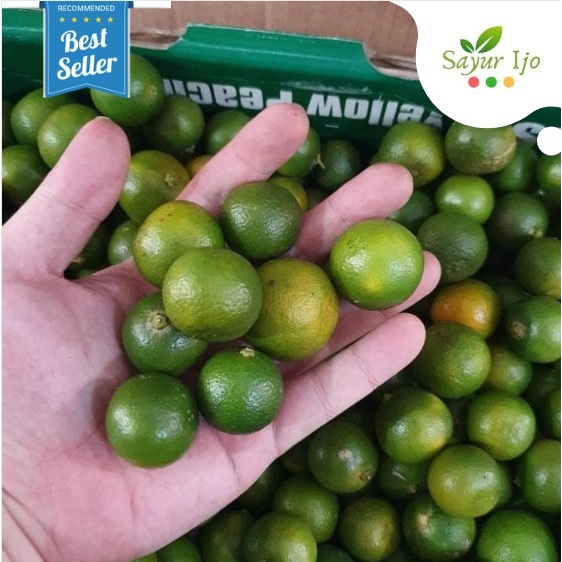 

Jeruk Peras Kietna / Kasturi / Kunci -/+ 250 Fresh Lemon Cui Kitkia Sonkit Buah Lokal Asem Segar