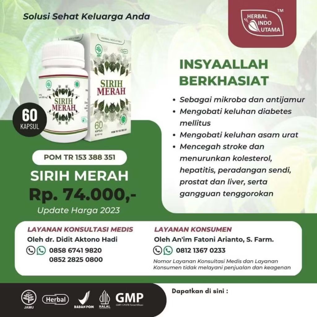 Kapsul sirih merah