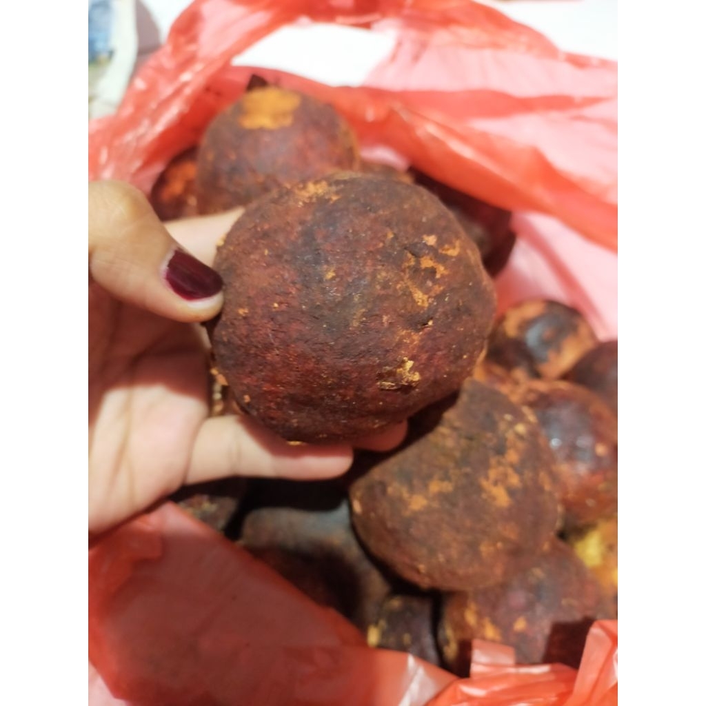 

Gambir Mahabunga Jumbo / Besar Gambir Medan