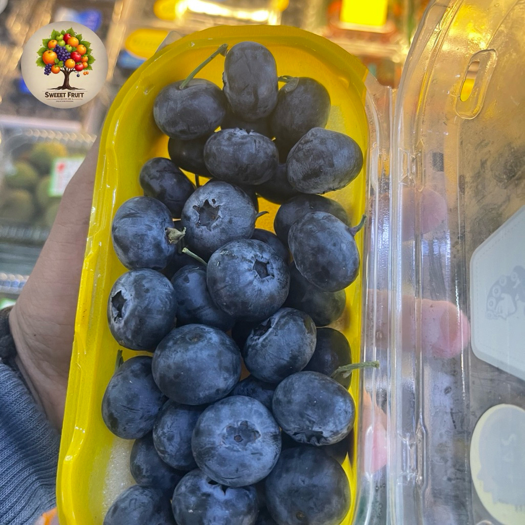 

Blueberry Jumbo | Blueberry Imberry China 200gram