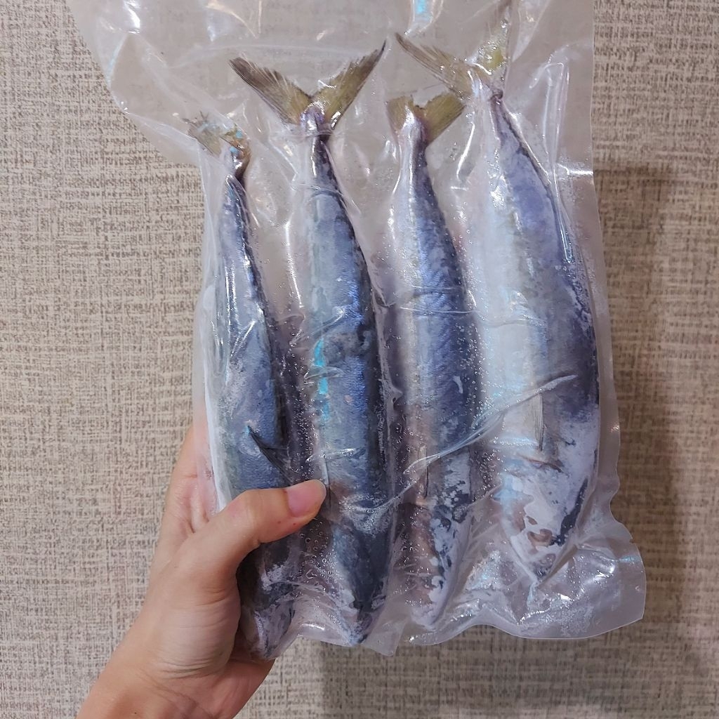 

ikan kembung banjar beku500gr