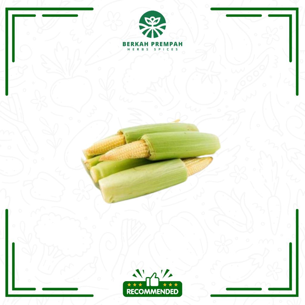 

Jagung putren segar / jagung puteran / Fresh jagung kecil - BerkahPrempah