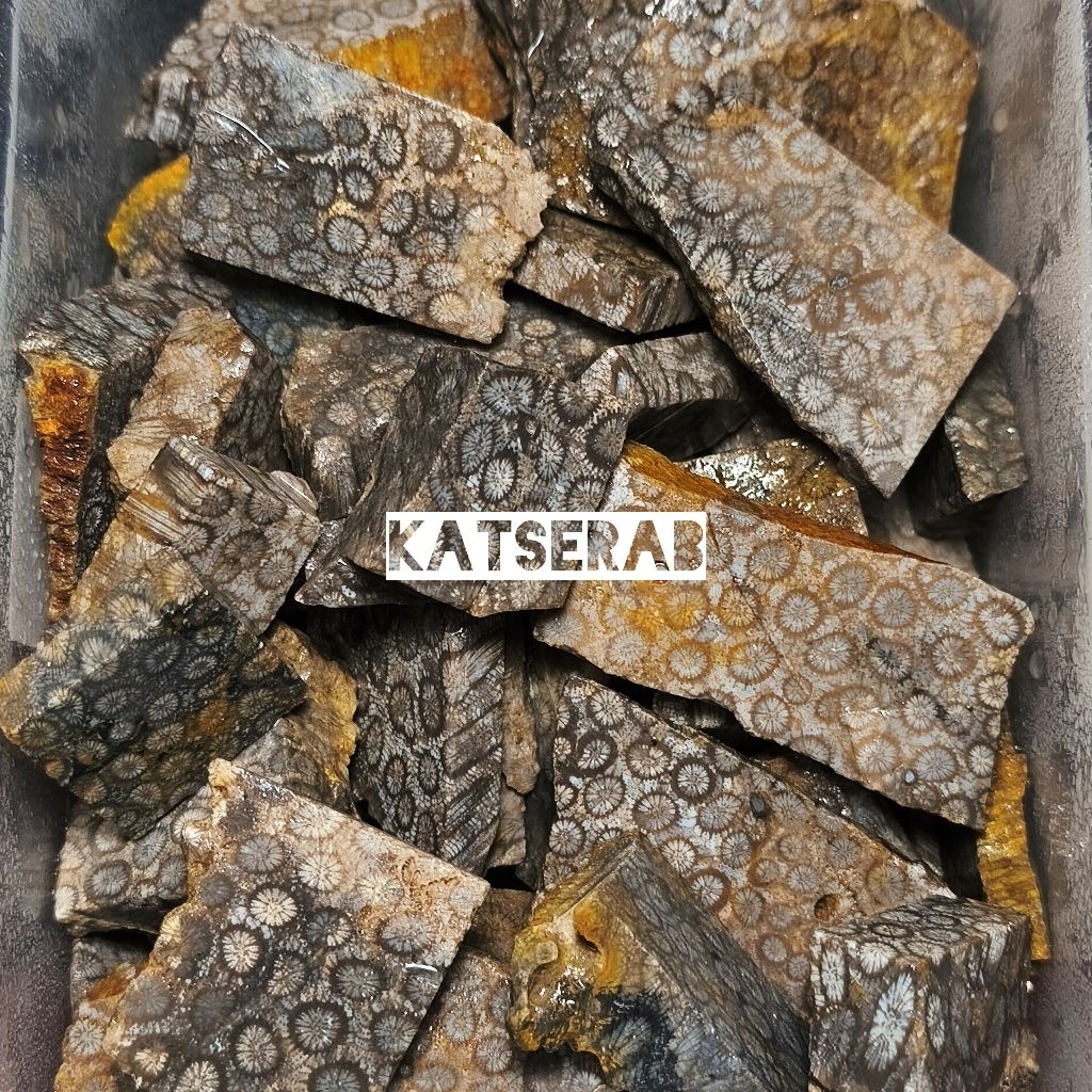 Batu Akik Lempengan Batu Teratai Hitam Batu Sarang Tawon / Bahan Batu Akik Teratai Hitam