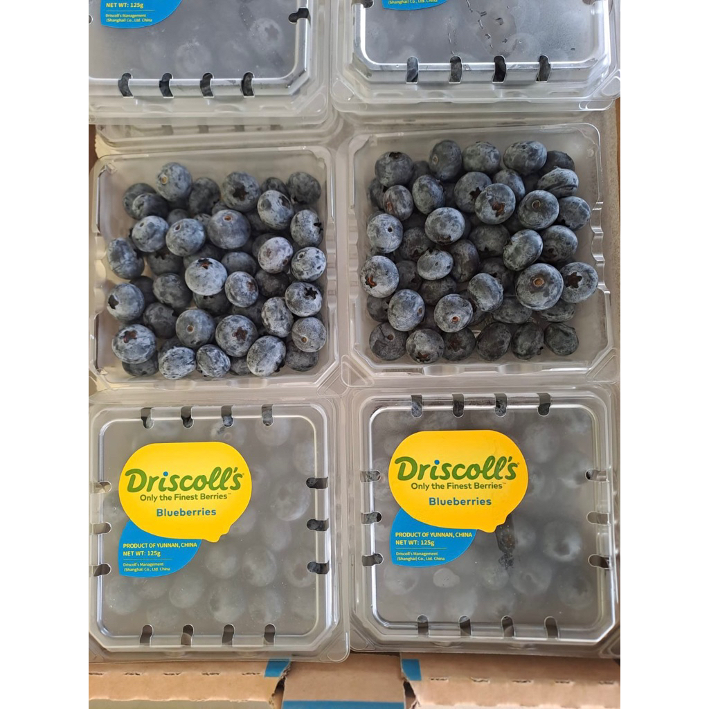 

Blueberies Segar uk per pack 125g