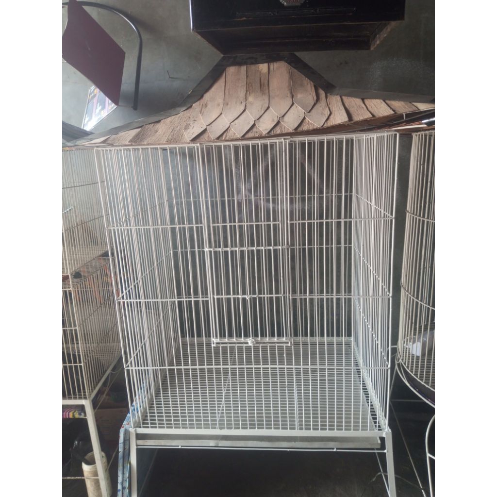 sangkar kandang burung Kaka tua ayam pelung ayam bekisar ayam hutan dll