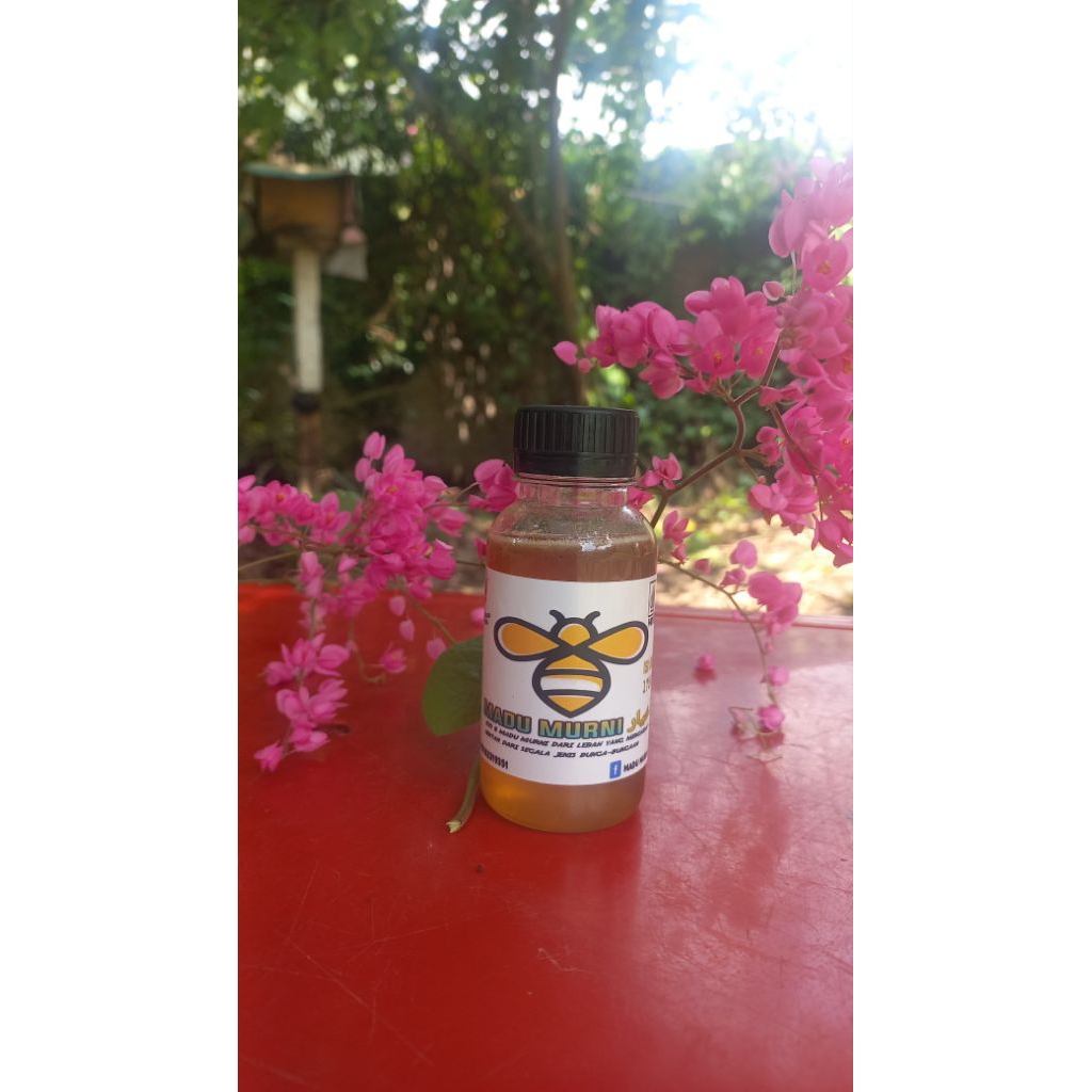 

Botol Kecil 175 Gr Lebah Apis Cerena - Madu Murni Akhyar