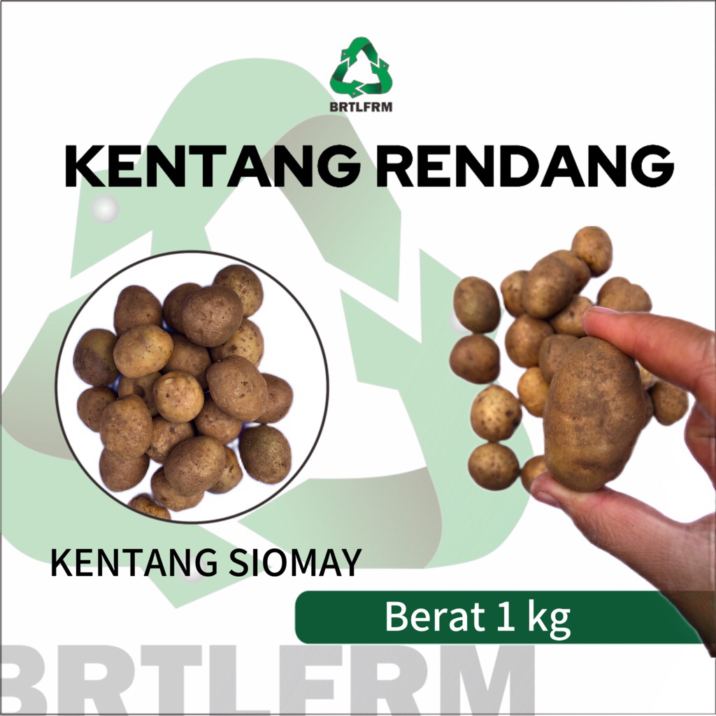

KENTANG RENDANG/SIOMAY SEGAR 1 KG