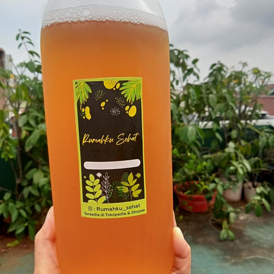 

kombucha original 1000 ml, minuman probiotik