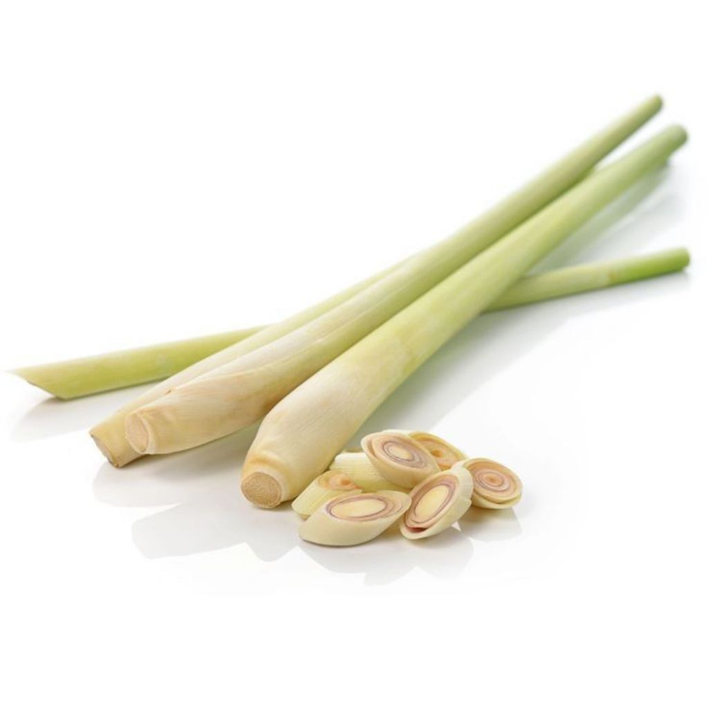 

Sereh Segar 1 KG