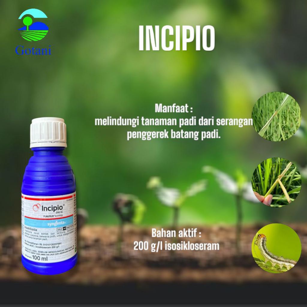INSEKTISIDA INCIPIO 100ML