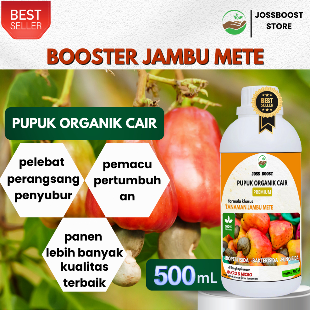 pupuk Booster Buah Jambu Mete 500ML / Pupuk Pelebat Tanaman Jambu Mete Pemacu Tumbuh Bunga dan Buah 