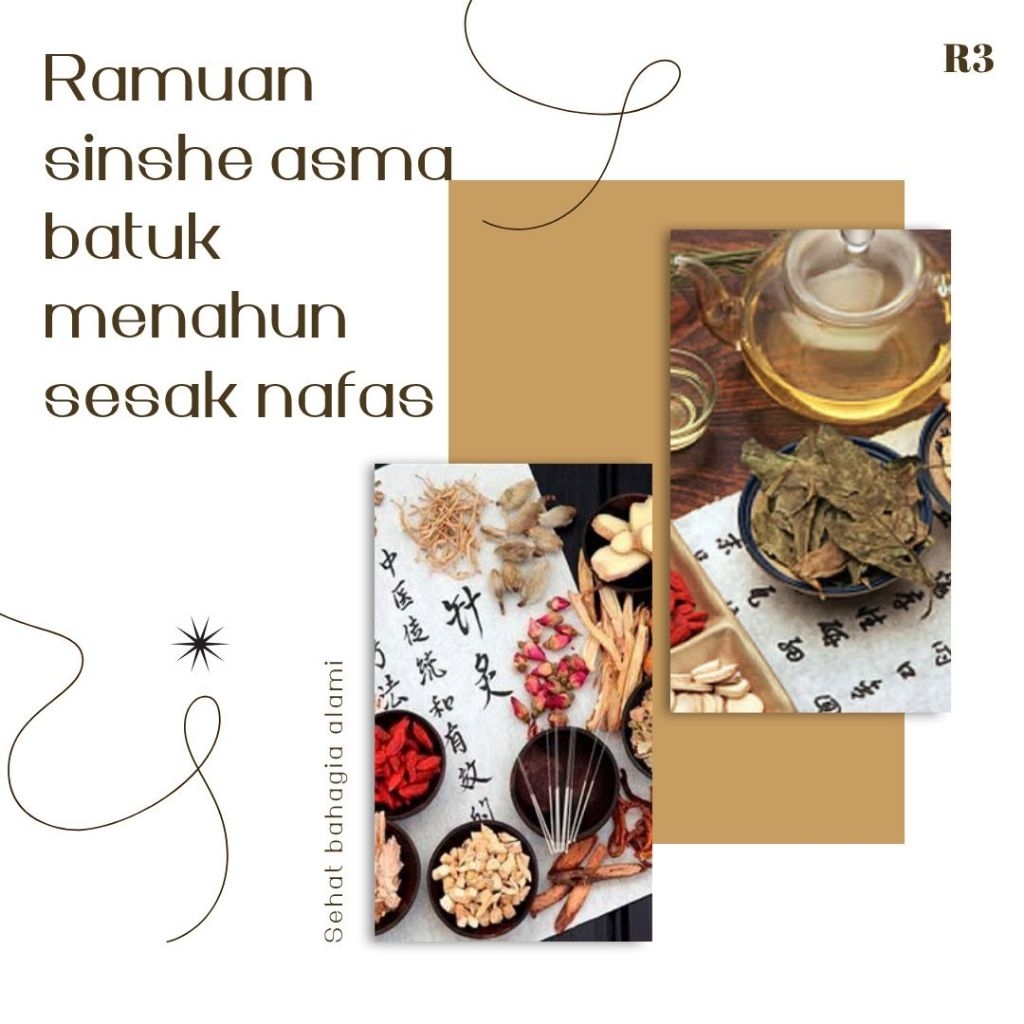 

asma batuk menahun paru paru herbal tradisional sinshe sinse