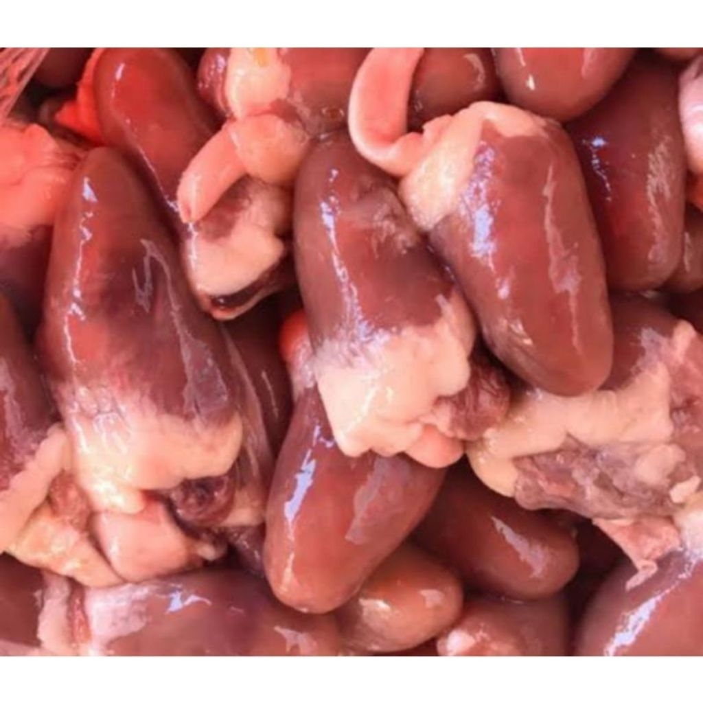 

jantung ayam fresh 1kg halal