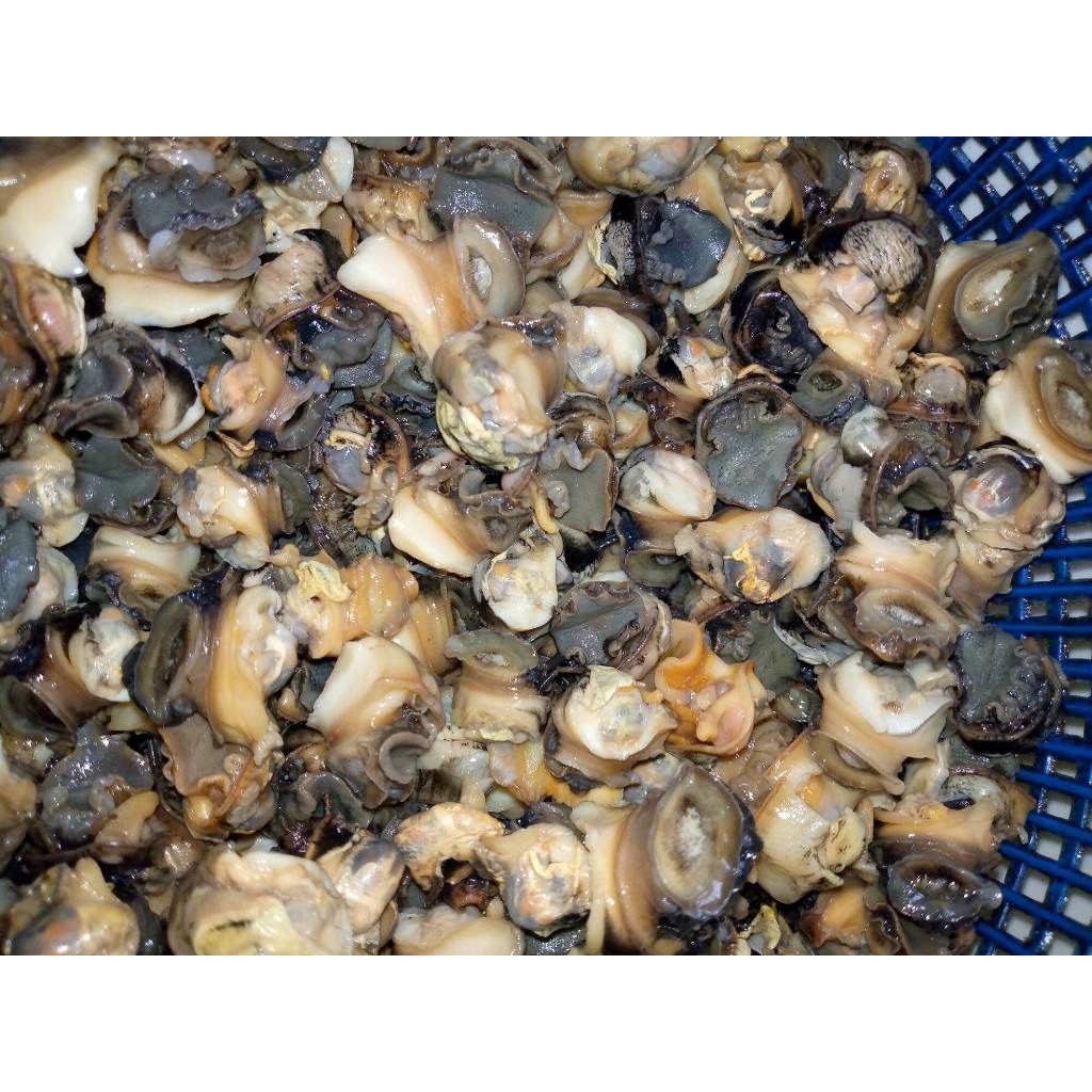 

kreco sawah 500gr kreco kol