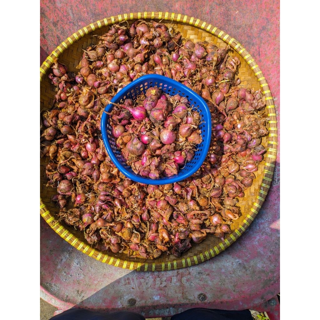 

Bawang Merah Lokal 1 Kg – Segar, Harum, Siap Masak! Langsung dari Petani