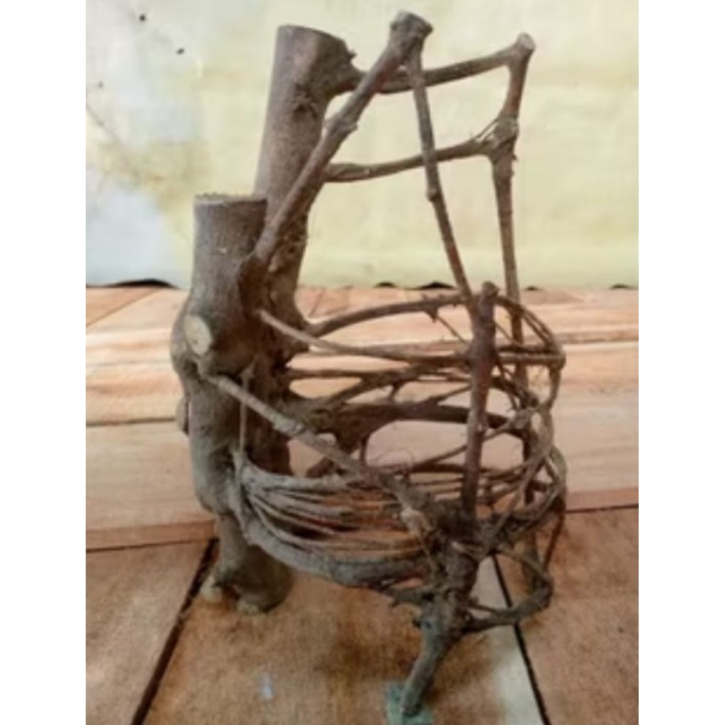 akar mimang asli alami