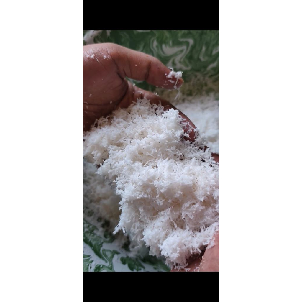 

KELAPA PARUT FRESH UTUH