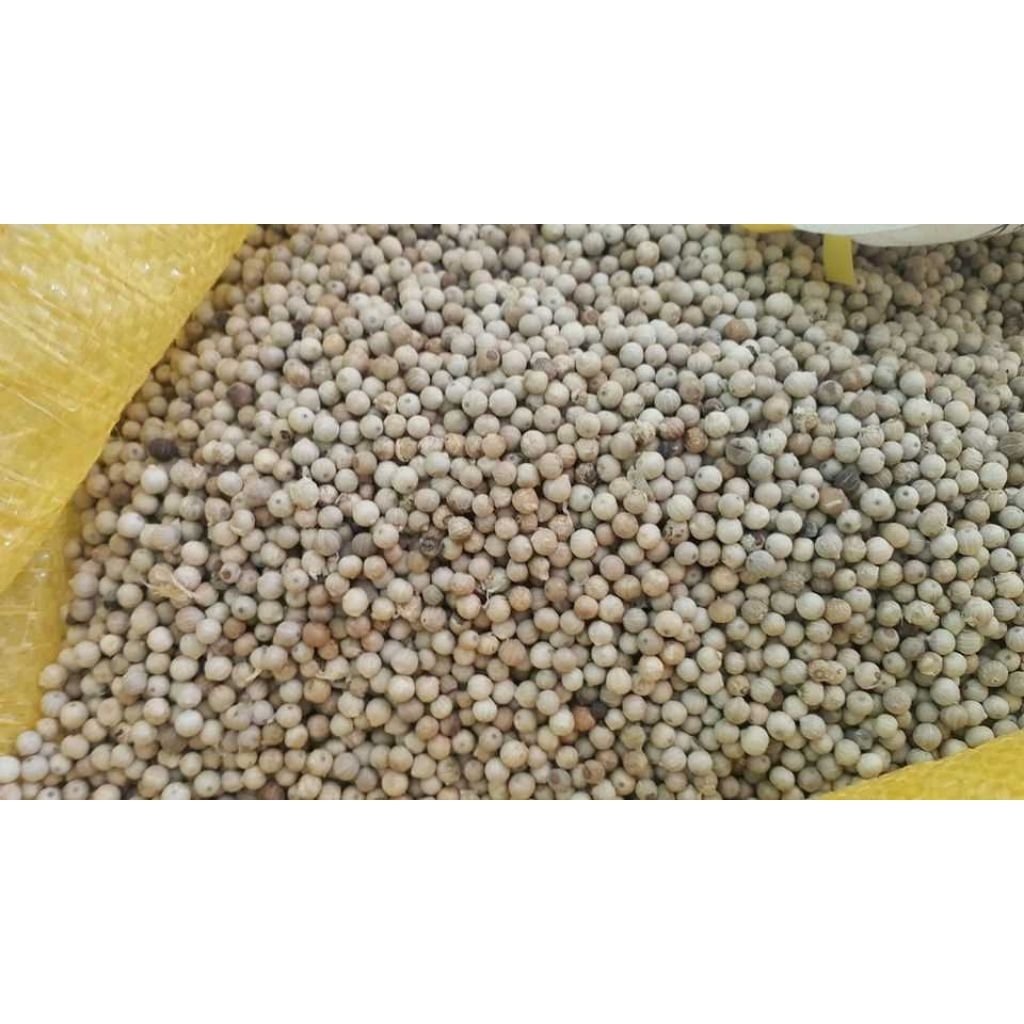 

Lada Putih Merica Butir kemasan 50gr - 100gr