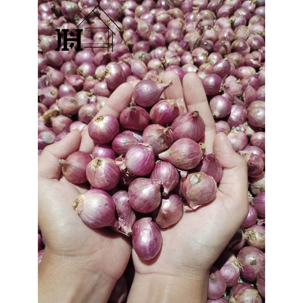 

Bawang merah kering ukuran sedang