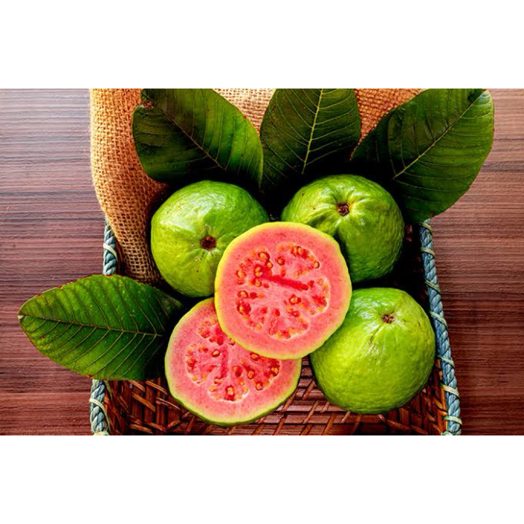 

jambu merah 1kg