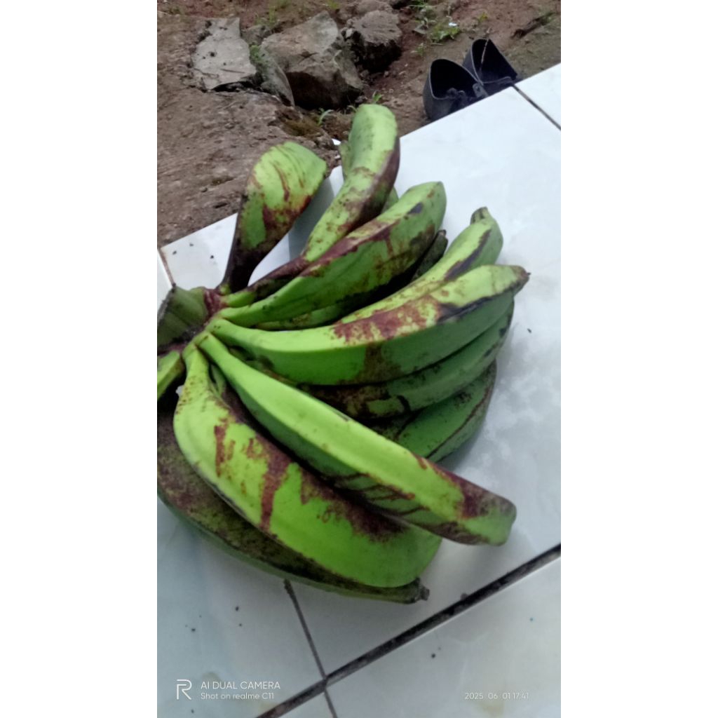 

pisang tanduk