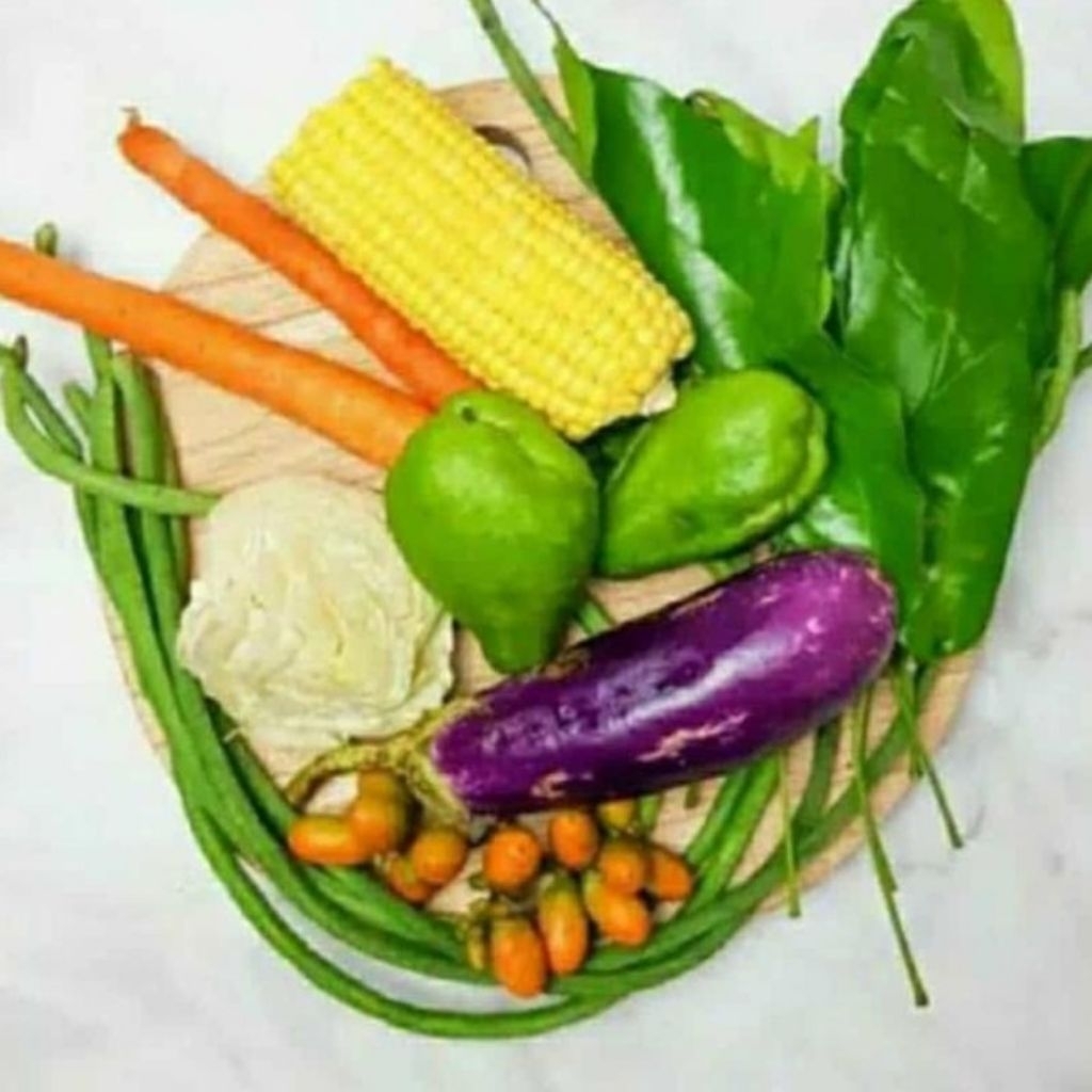 

sayur lodeh fresh termurah 1 bungkus
