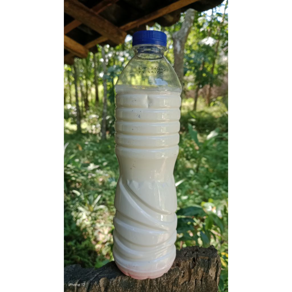 Getah Karet Cair Asli Murni / Lem Pulut Burung / perekat busa kasur / Multifungsi