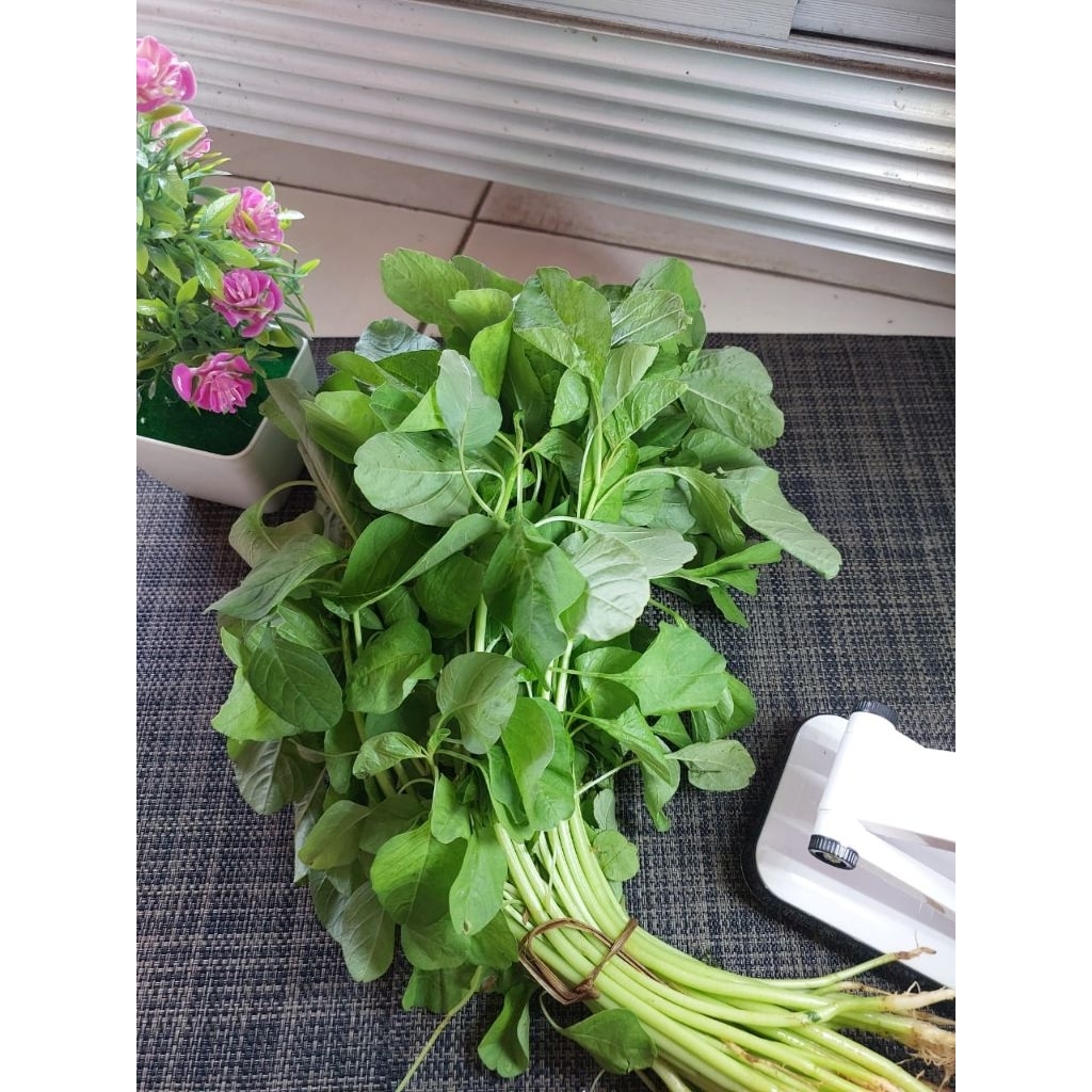

Bayam Hijau Sayur [1 ikat] / Sayur Segar Bogor