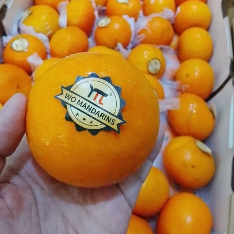 

JERUK WOGAM FRESH MANDARIN 1kg