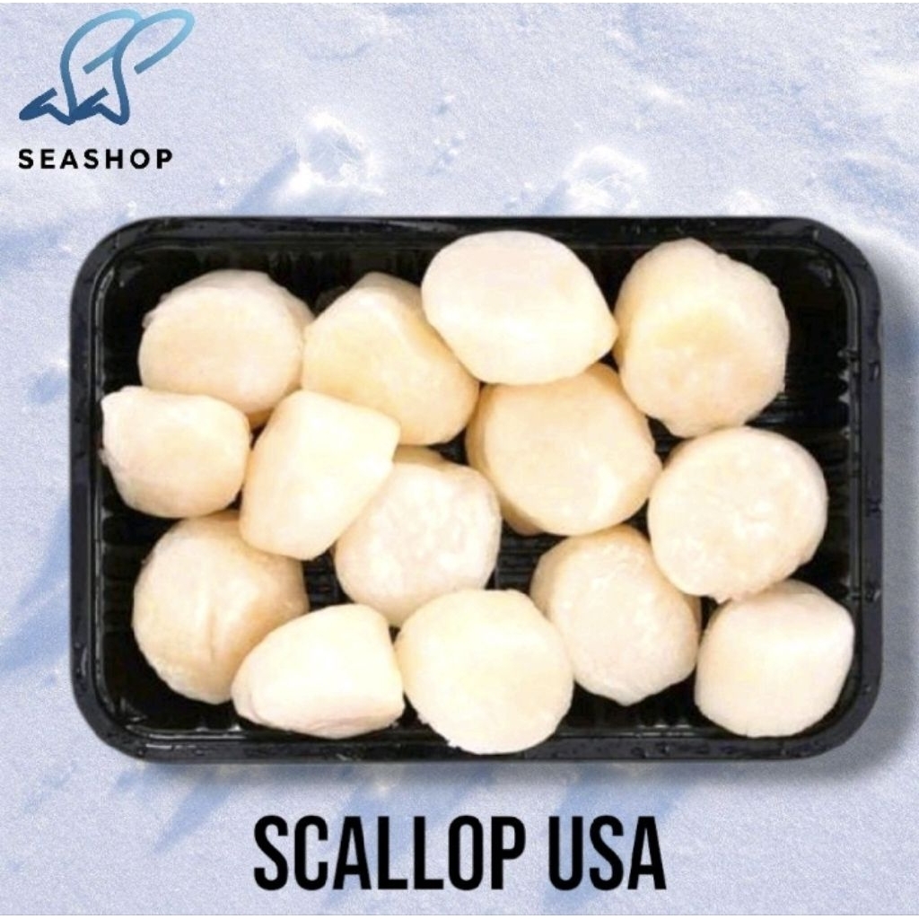 

Scallop Import US - Kerang Kampak - Kerang Simping 2.27kg