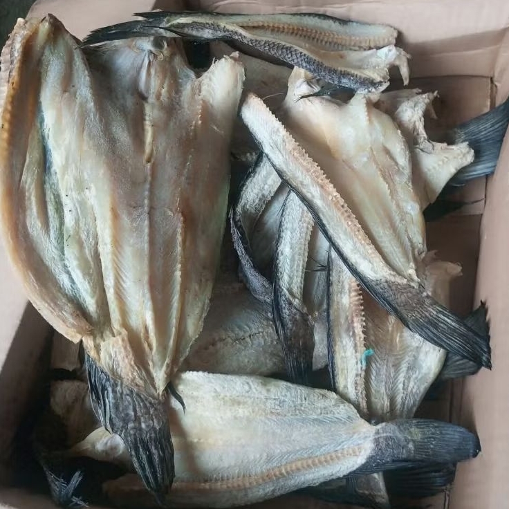 

Ikan Asin Gabus Jumbo Kering Asli – Utuh atau Belahan | 250gr – 1Kg | Gurih | Kualitas Premium | Packing Aman