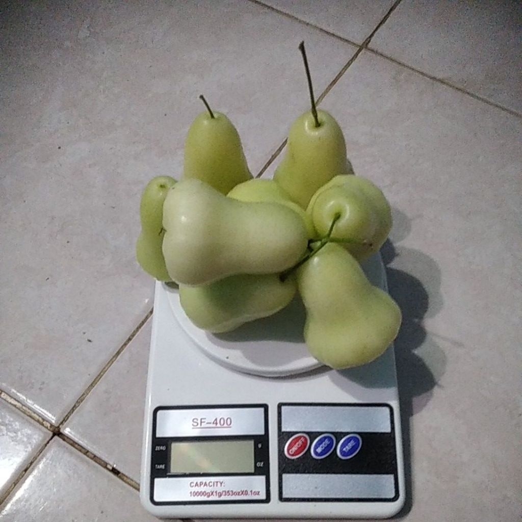 

jambu air fres manis 500gram