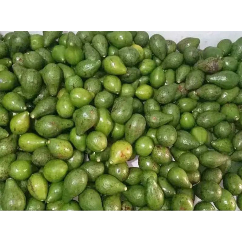 

Alpukat pull tua mentah UK 5-6-7 termurah berat bersih 1kg