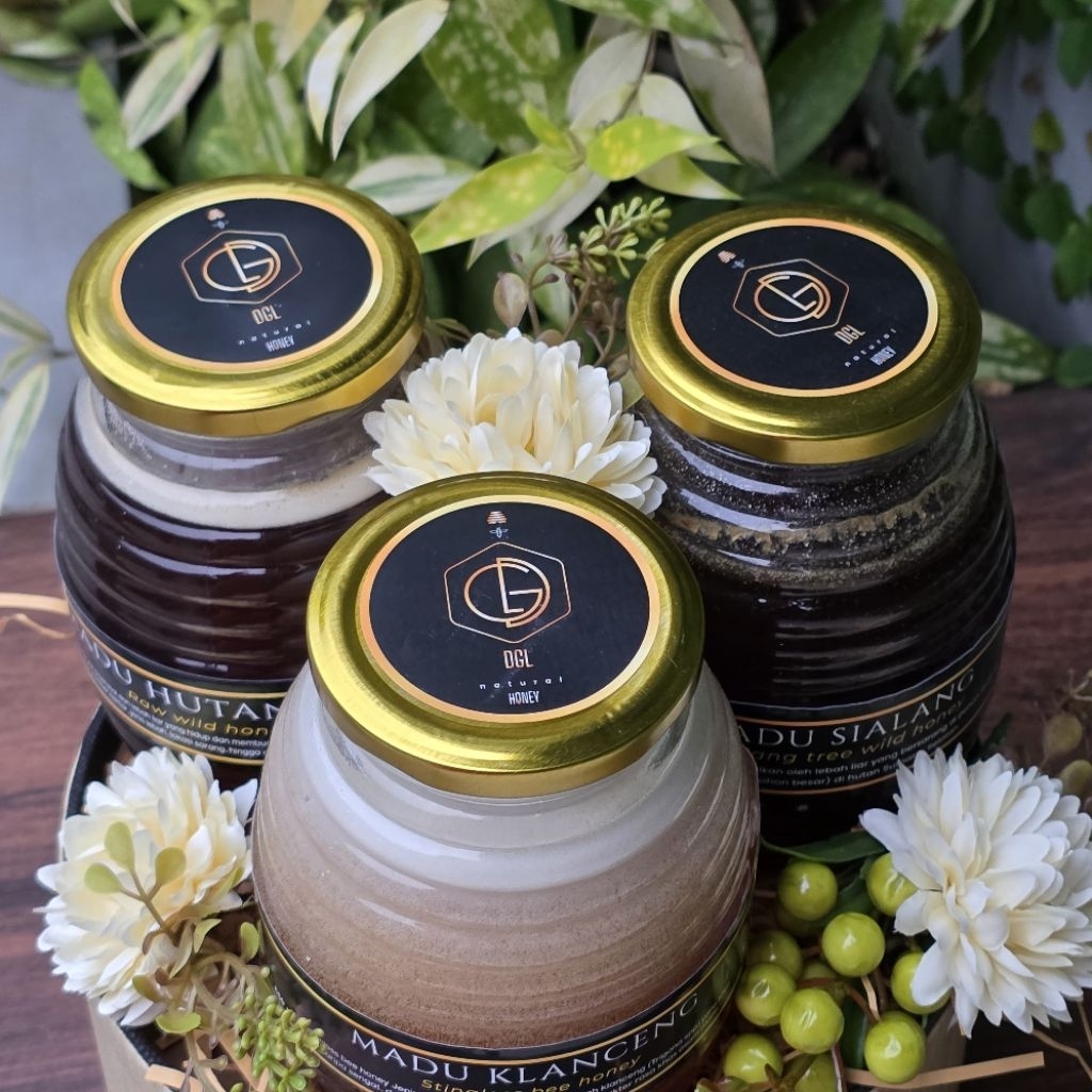 

Madu Hutan + Madu Sialang + Madu Klanceng_paket Hemat 3 Botol 650ml #DGL Natual Honey