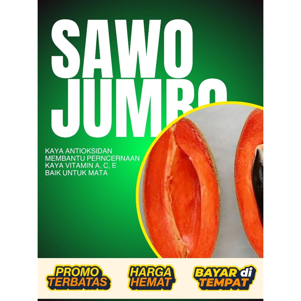 

MATANG DARI POHON !! Mamey Sapote Terbesar, Mamey Sapote Vitamin E