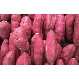 

Ubi Ungu Medan Daily Market