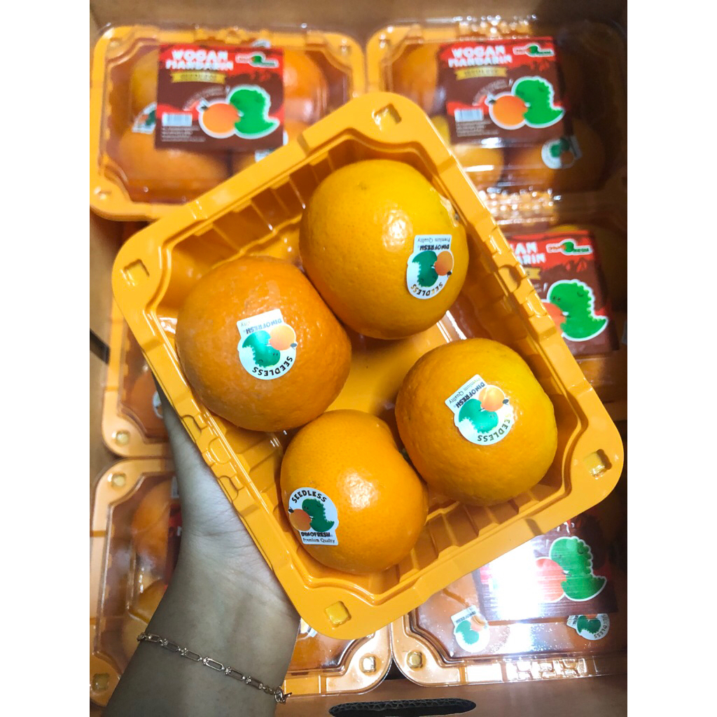 

Jeruk Wogan Dinofresh Seedless Berat 500gram /pack